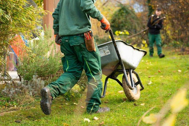 Choosing Plants That Suit Your Space and Lifestyle