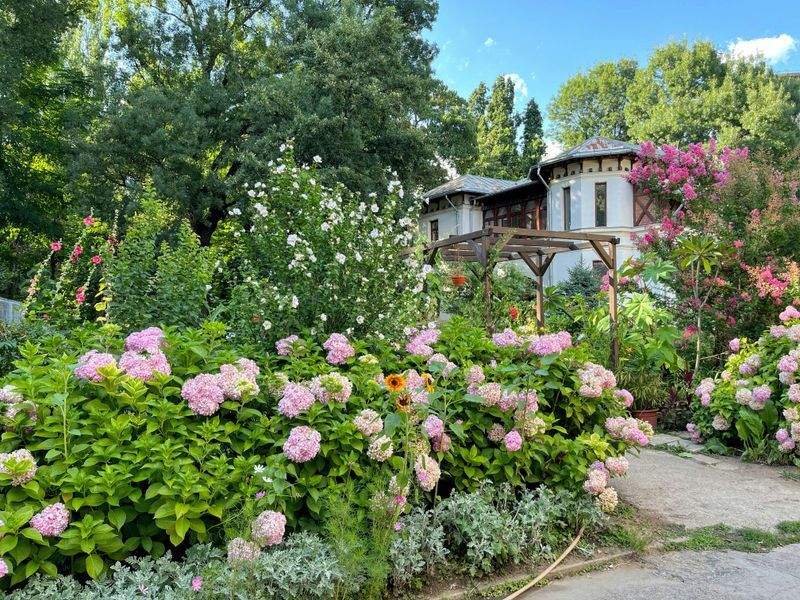 Garden design and planning